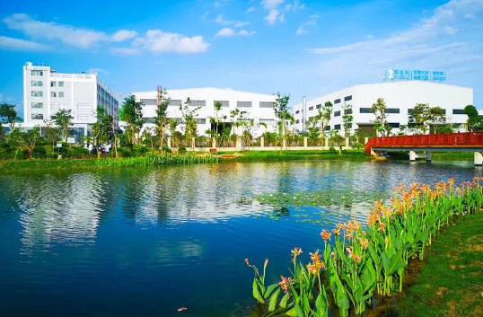 5f1dced02b756.png 11.png